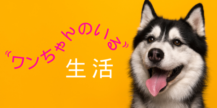 カワイイがいっぱい！ワンダーランド